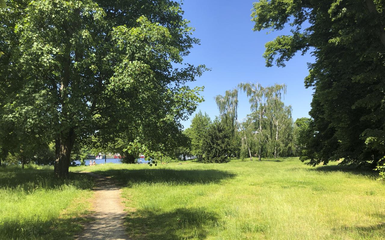 Park Penthouses Insel Eiswerder By Suite030 Berlin Bagian luar foto