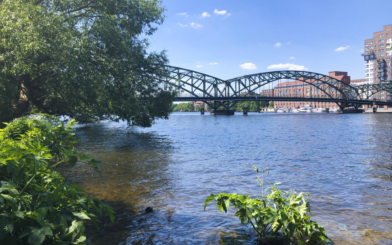 Park Penthouses Insel Eiswerder By Suite030 Berlin Bagian luar foto